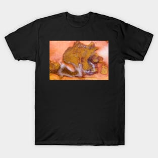 rock face T-Shirt